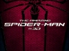 The Amazing Spider-Man Spider Poster