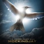 http://www.moviescut.com/wp-content/mash/The-Hunger-Games-Mockingjay-Part-1.jpg