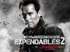 Arnold Schwarzenegger (via ComingSoon.net)