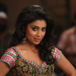 Hot Item song of the movie Zilla Ghaziabad