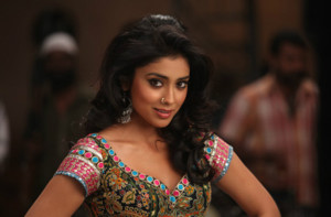 Hot Item song of the movie Zilla Ghaziabad