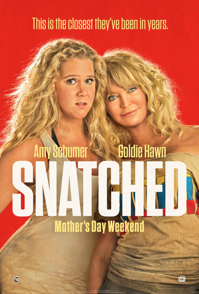 Snatched Movie Poster 2 - India Release 2017