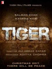 Tiger Zinda Hai Poster 2- India Release 2017