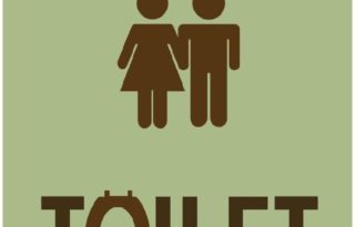 Toilet Ek Prem Katha Poster - India Release 2017